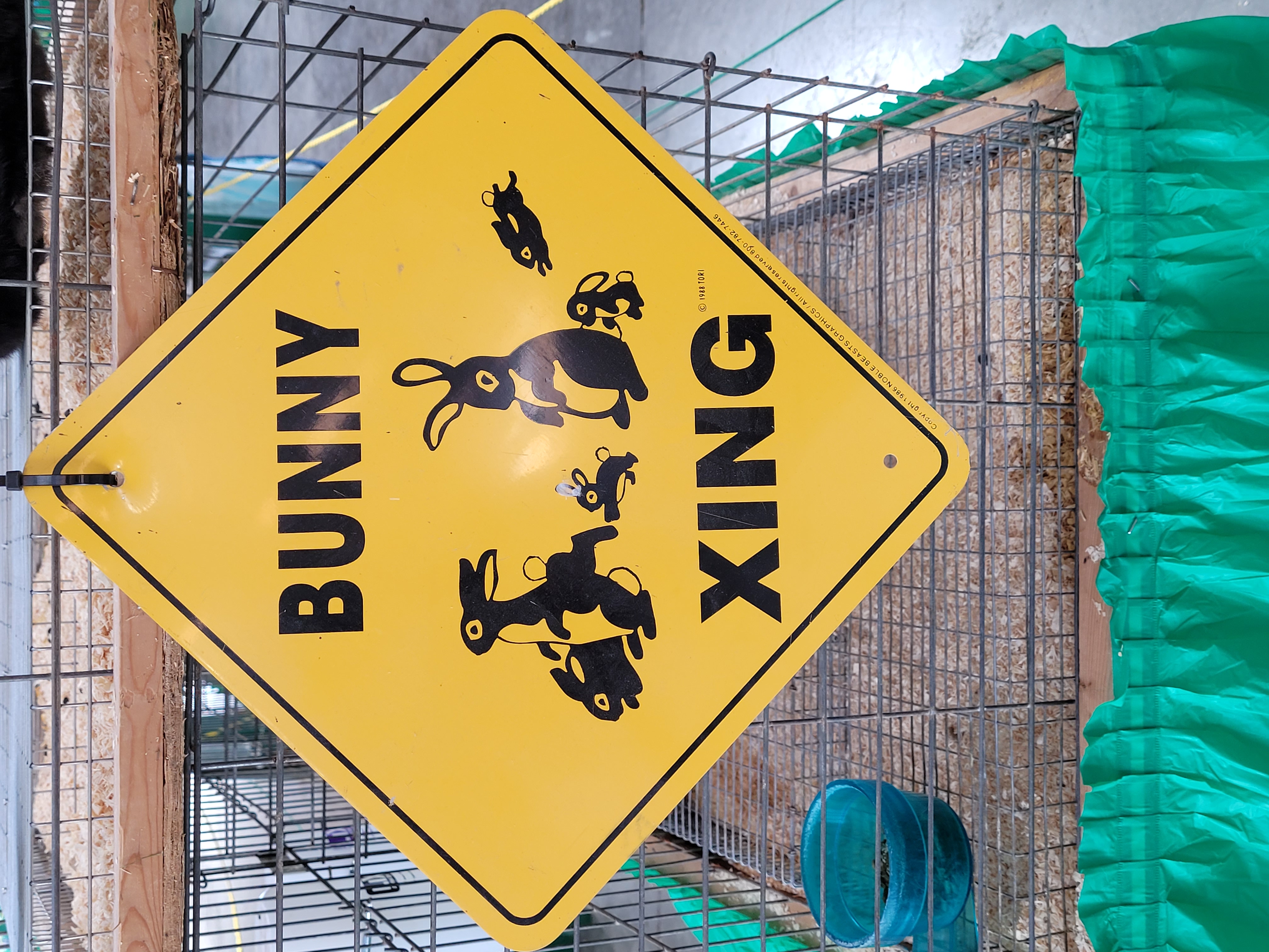 Bunny Xing Sign