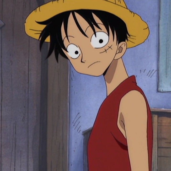 Monkey D Luffy
