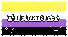 The text I'm fucking gay over the Nonbinary flag